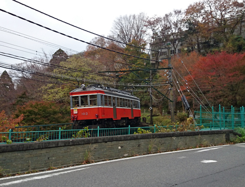 DSC_0653z.jpg