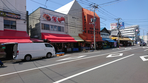 DSC_0818z.jpg