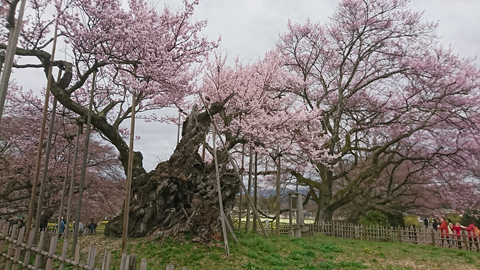 DSC_1176z.jpg