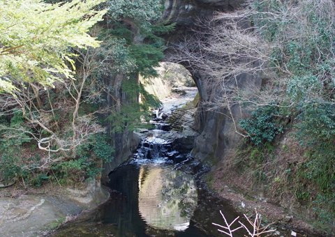 P3110016z.jpg