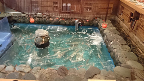 ikesu_0244z.jpg