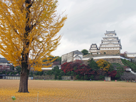 shirasagi_161119_0053z.jpg