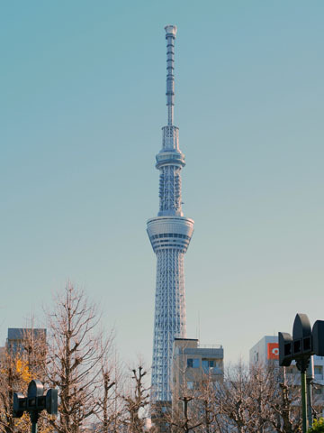 skyT